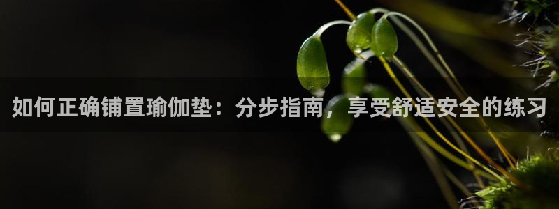 欧洲杯投注入口官网
