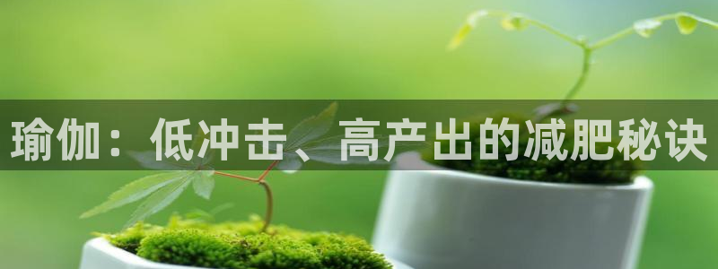 欧洲杯下单平台官网网址