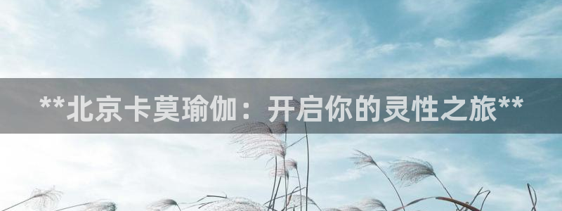 欧洲杯决赛彩票网上购买