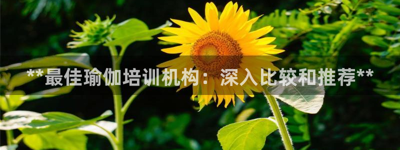 欧洲杯投注在哪找网址