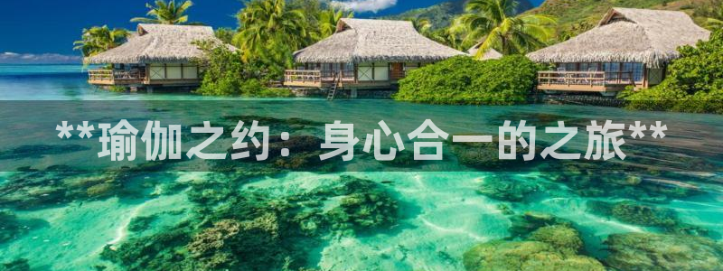 欧洲杯买足球软件