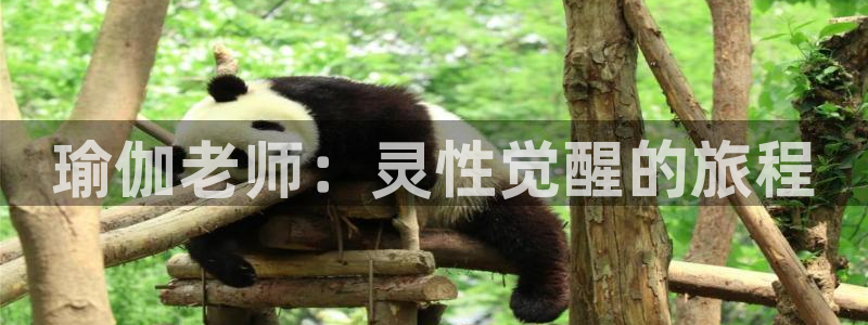 放心购买足球平台