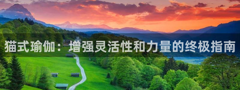 欧洲杯投注官方网站入口