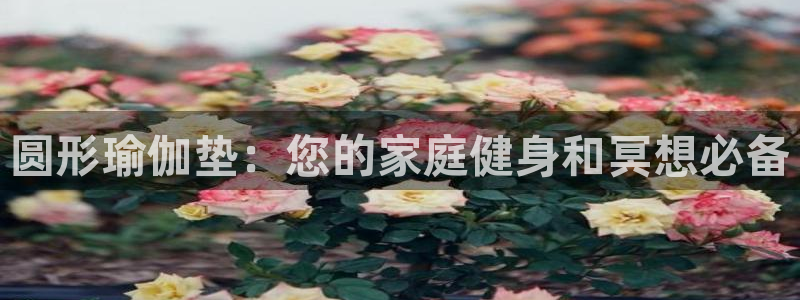 welcome欧洲杯官网