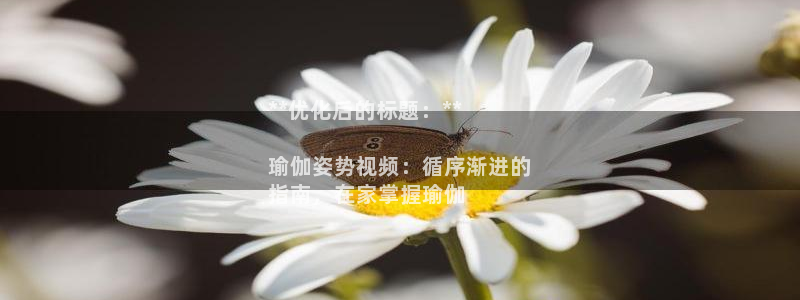 欧洲杯买注在哪买