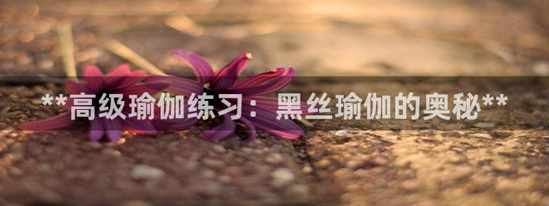 欧洲杯投注入口官网