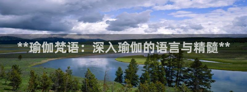 欧洲杯线上买球