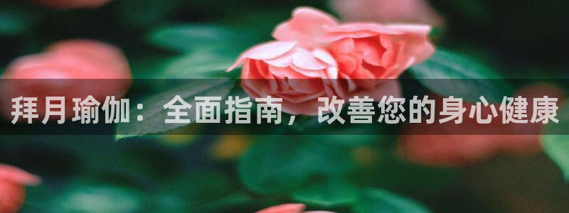 欧洲杯在哪个网站购买