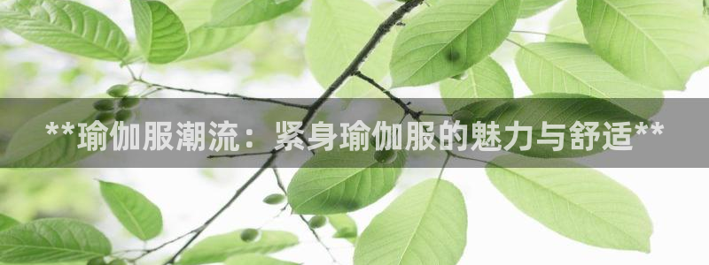 欧洲杯线上买球