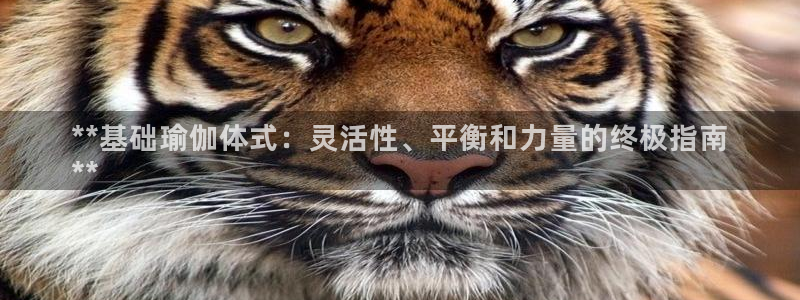 2024年欧洲杯投注