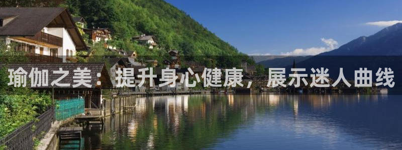 欧洲杯下单平台官网网址