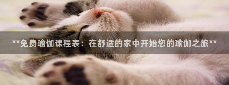 欧洲杯投注入口官网