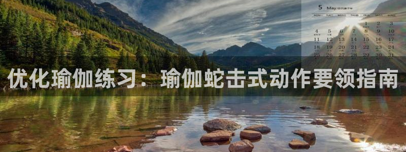 欧洲杯买球网