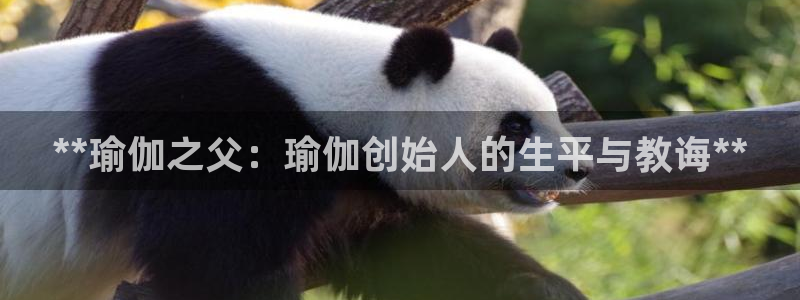 欧洲杯投注在哪找网址
