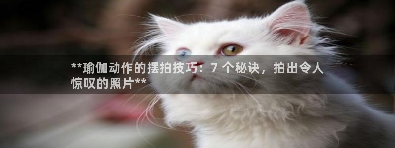 欧洲杯下单平台官网