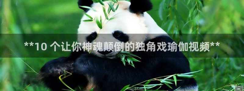 欧洲杯线上买球