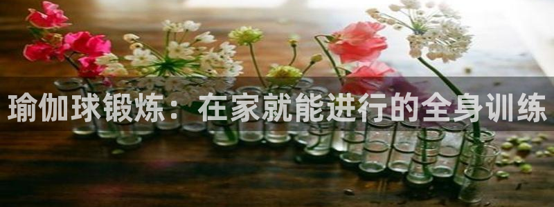 欧洲杯哪里买球靠谱