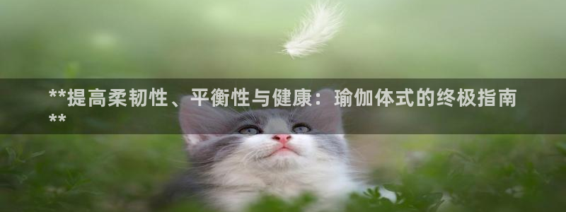 买足球平台哪个比较好