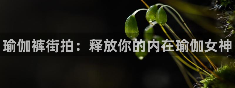 2024欧洲杯买竞猜