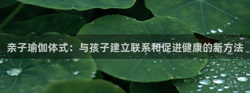 怎么买欧洲杯