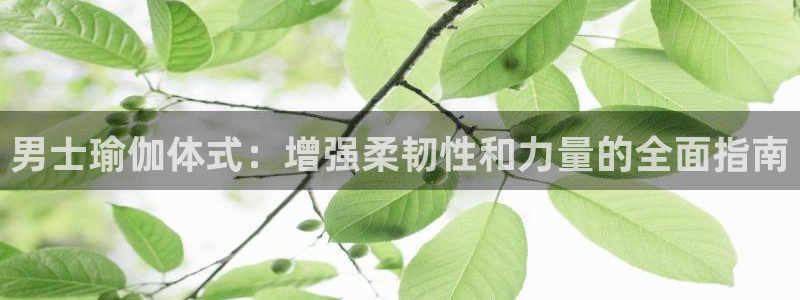 欧洲杯下单平台官网