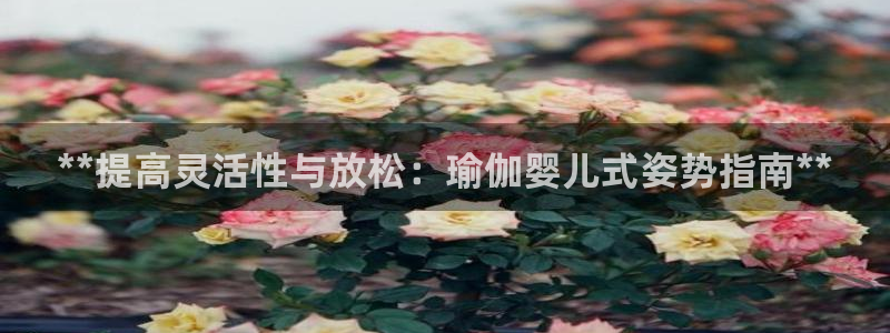 2024正规欧洲杯平台