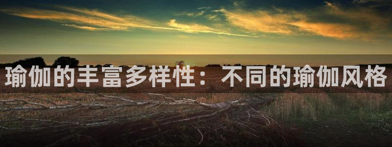 欧洲杯下单平台