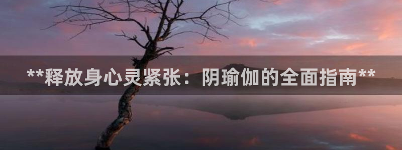 2024欧洲杯买球推荐