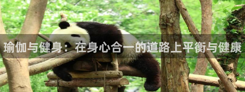 买球平台官方网站