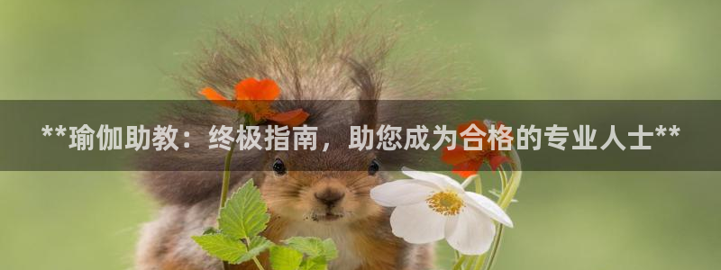 欧洲杯竞猜手机app推荐