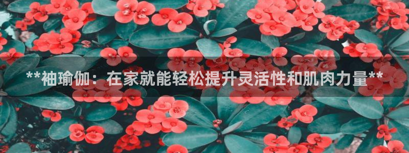 2024正规欧洲杯平台