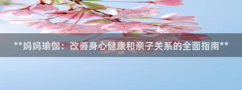 2024欧洲杯押注官网