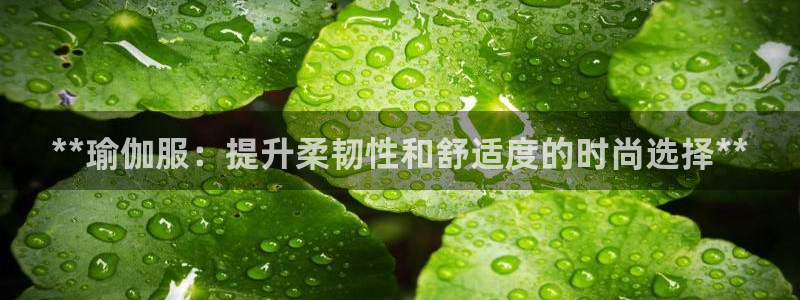 欧洲杯押注入口