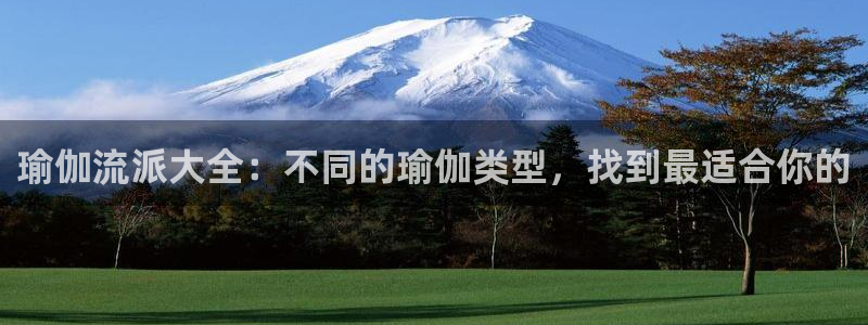 欧洲杯竞猜软件