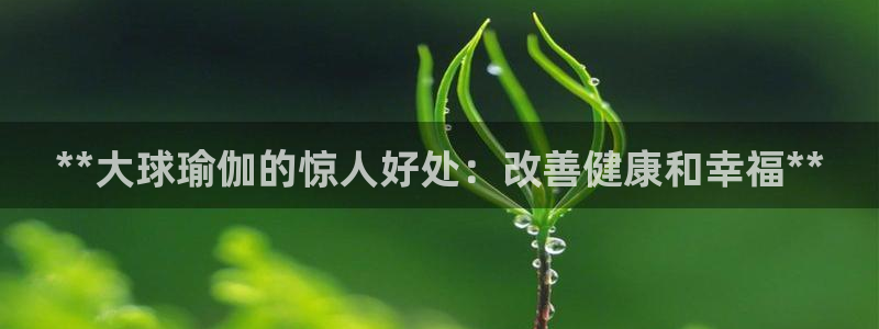 welcome欧洲杯