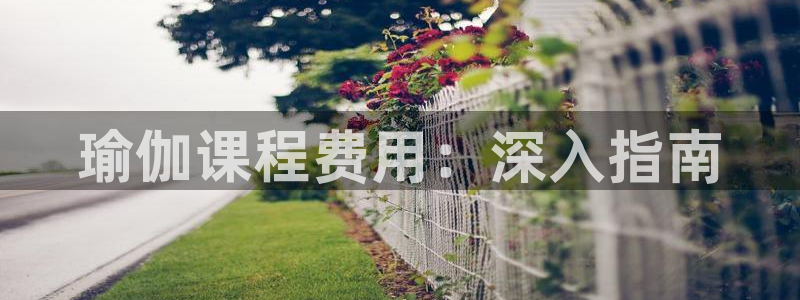 欧洲杯押注怎么买