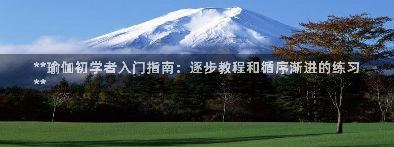 2024欧洲杯全部赛程