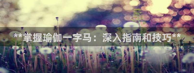 欧洲杯买球手机app