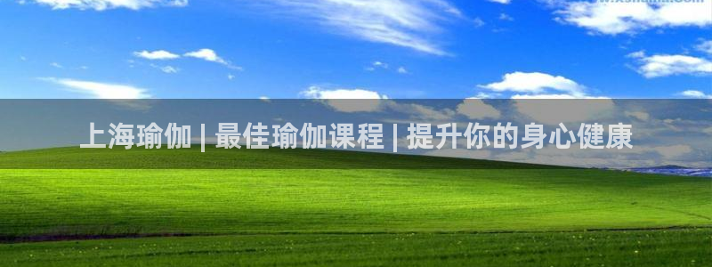 欧洲杯哪里买球靠谱