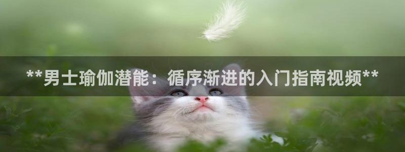 欧洲杯竞猜手机app推荐