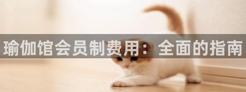 2024欧洲杯买球手机版