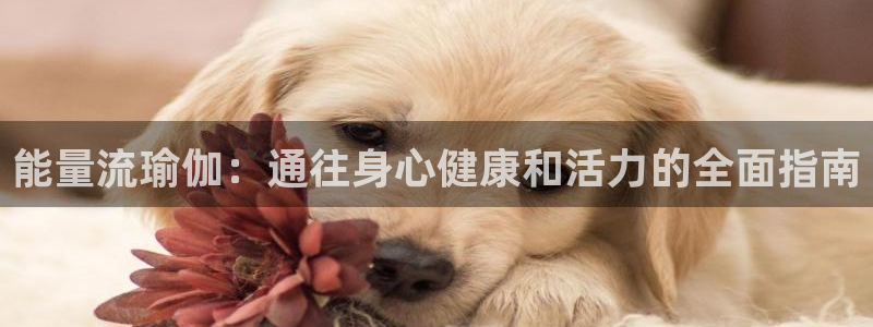欧洲杯下单平台官网网址