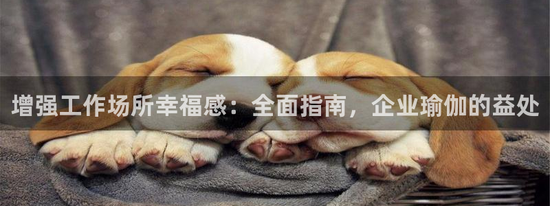 欧洲杯决赛彩票网上购买