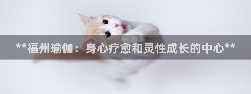 欧洲杯押注怎么买