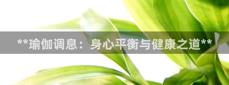 十大靠谱外围买球网站