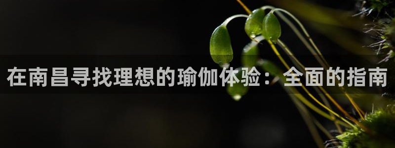 欧洲杯买球手机app