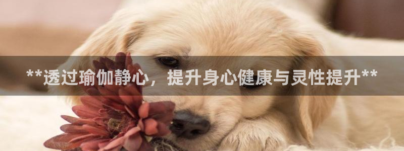 欧洲杯靠谱买球平台