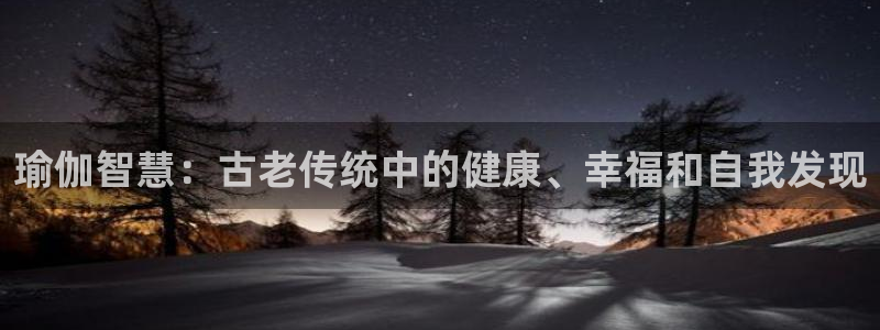 2024欧洲杯竞猜网址