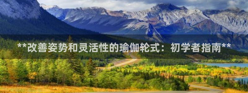 2024正规欧洲杯平台