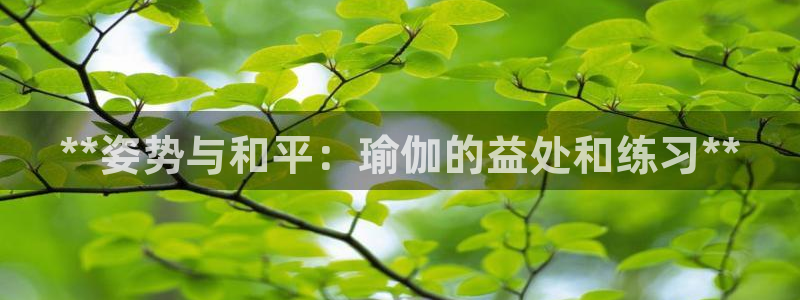 欧洲杯投注在哪找网址